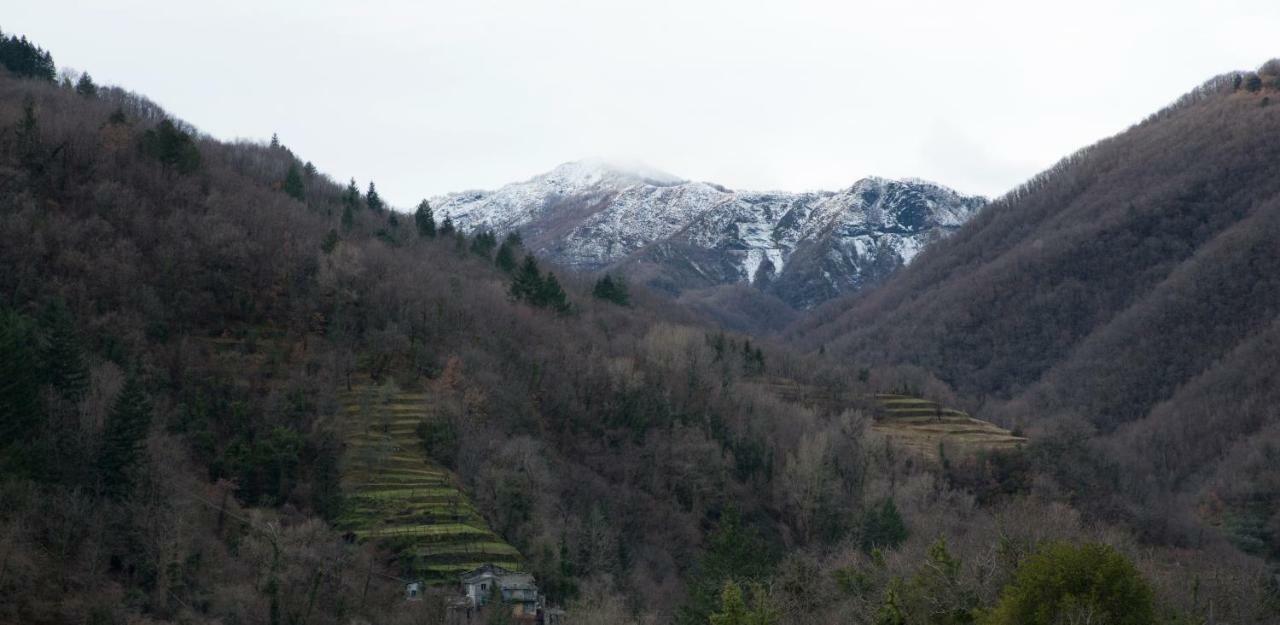 BorzonascaCasa Della Posta公寓 外观 照片